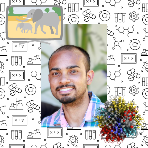 Discovering the World of Research: From an Interest in Nature to a Passion for&nbsp;Proteins